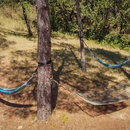 Au Point Du Jour - Carcassonne, De La Cavayère * Carcassonne