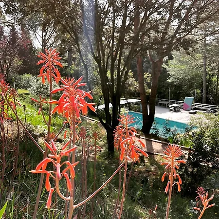 Au Point Du Jour - Carcassonne, De La Cavayere