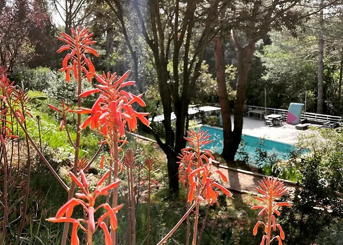 Au Point Du Jour - Carcassonne, De La Cavayere